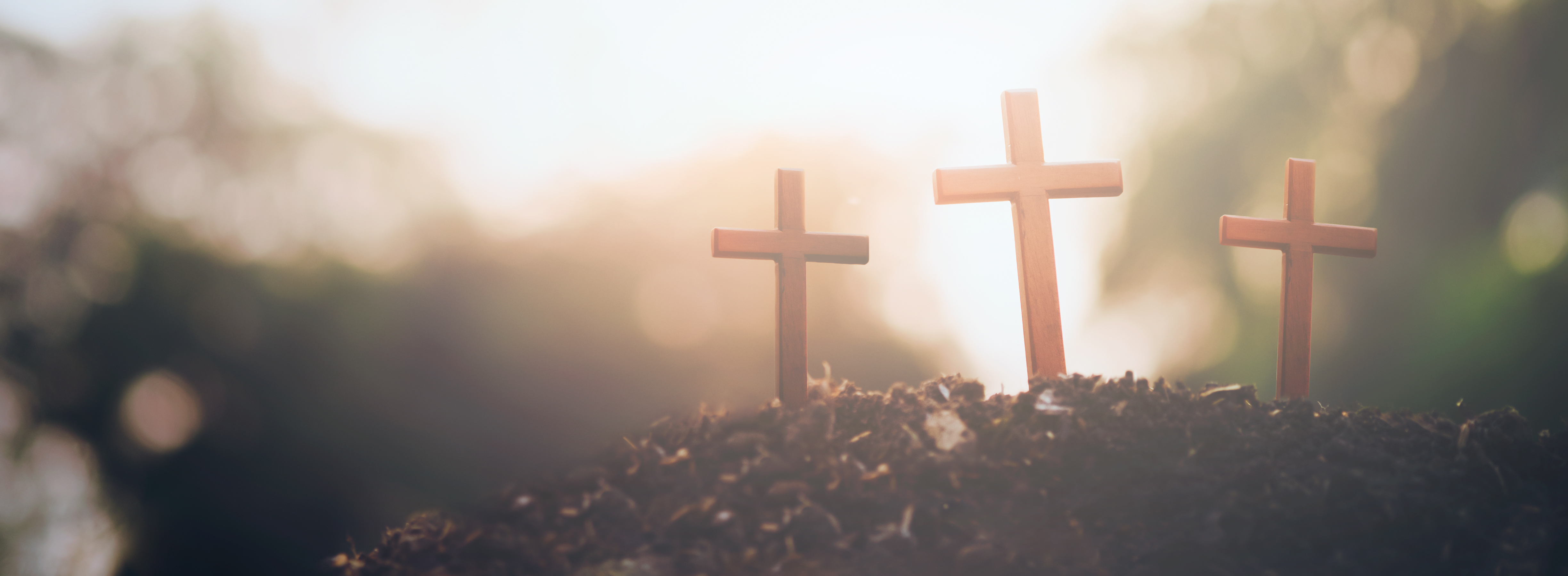 Michael Carter Cover Image